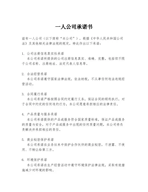 一人公司承诺书