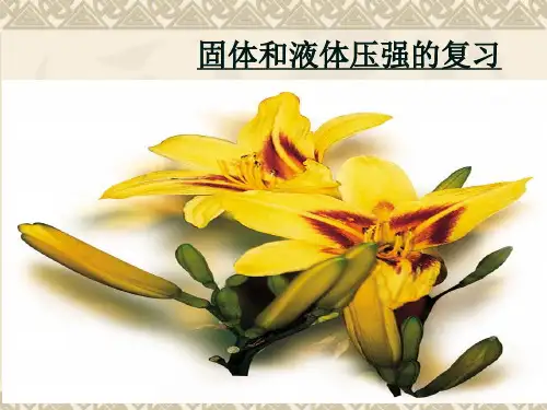 压力和压强复习课件