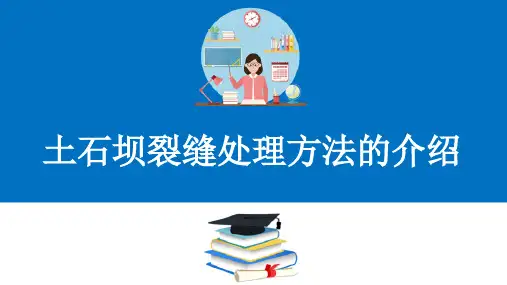 土石坝安全监测与维修养护—土石坝裂缝处理