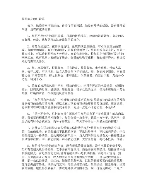 描写梅花的好段落