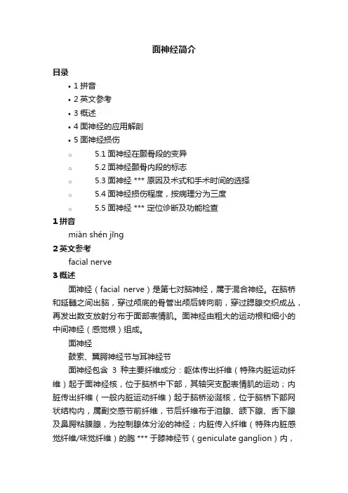 面神经简介
