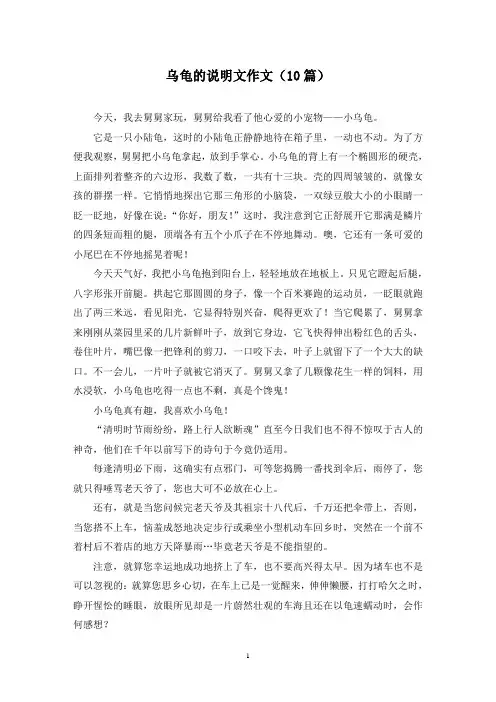 乌龟的说明文作文(10篇)