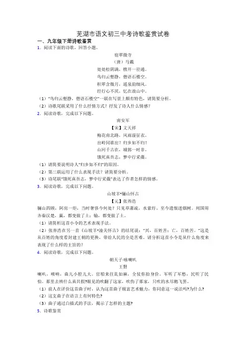 芜湖市语文初三中考诗歌鉴赏试卷