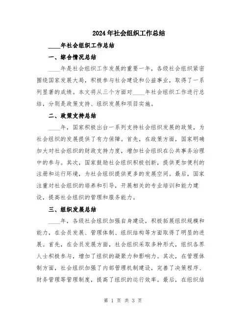 2024年社会组织工作总结