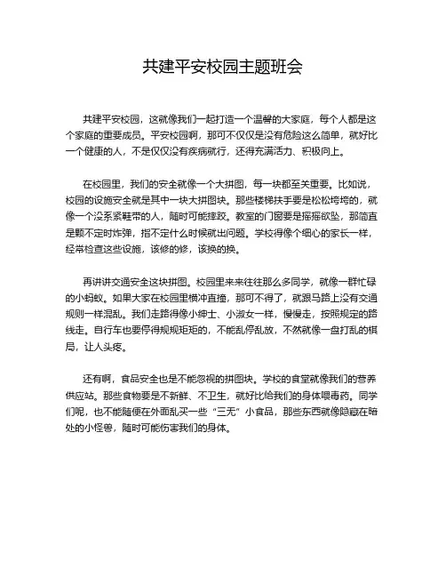 共建平安校园主题班会