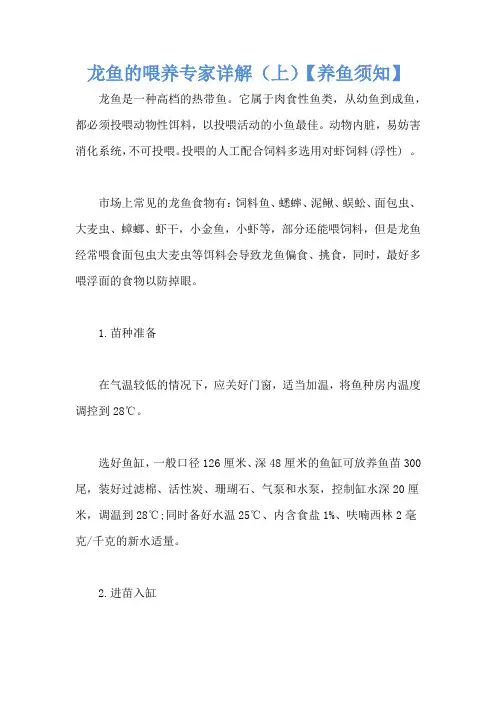 龙鱼的喂养专家详解(上)【养鱼须知】