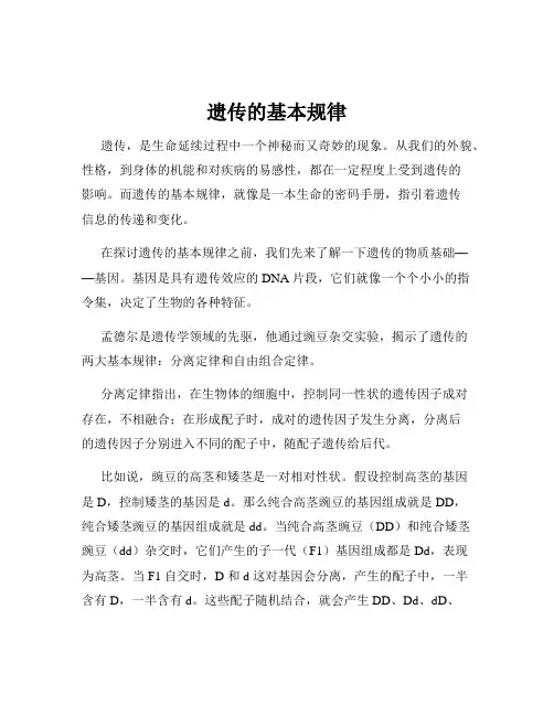 遗传的基本规律