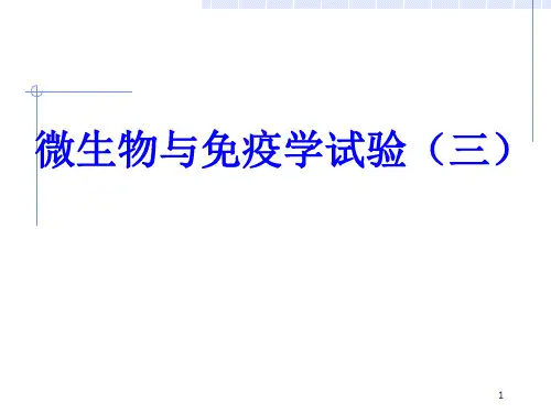 南医微生物实验课件三