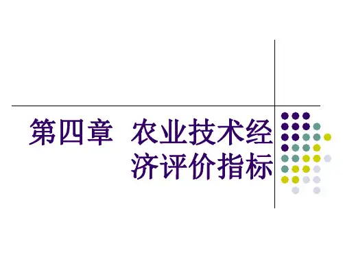 第四章 农业技术经济评价指标