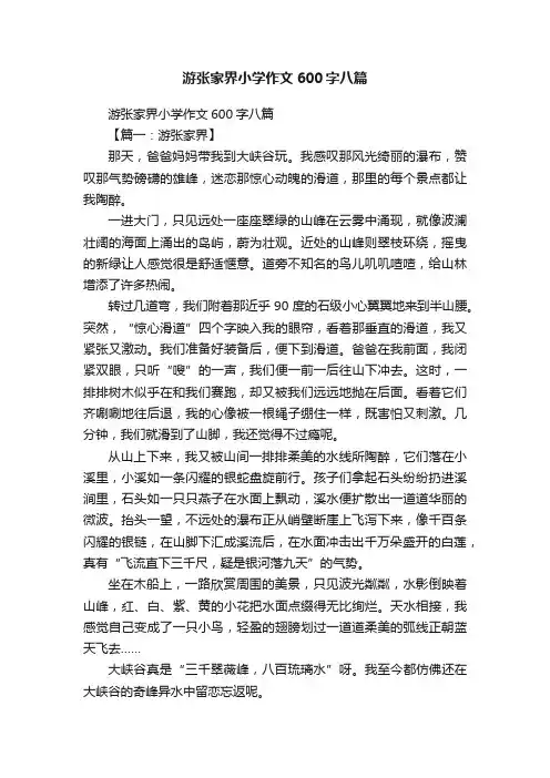 游张家界小学作文600字八篇