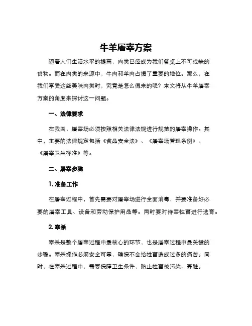 牛羊屠宰方案