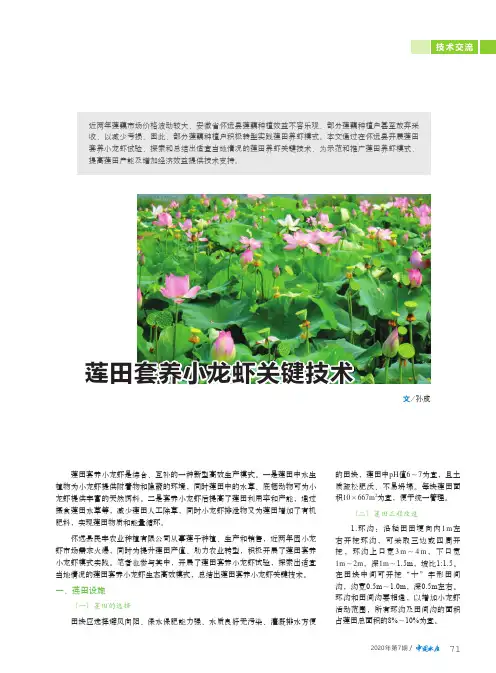莲田套养小龙虾关键技术