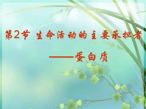 人教版高中生物必修一 第二章第二节 蛋白质 PPT课件 图文