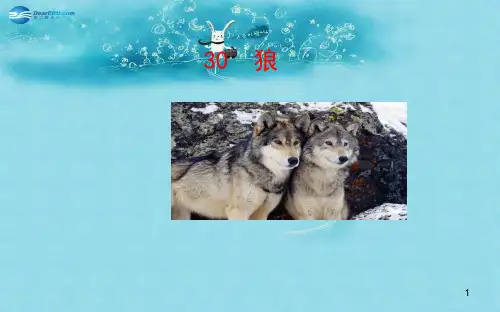新人教版七年级语文下册：第30课狼课件