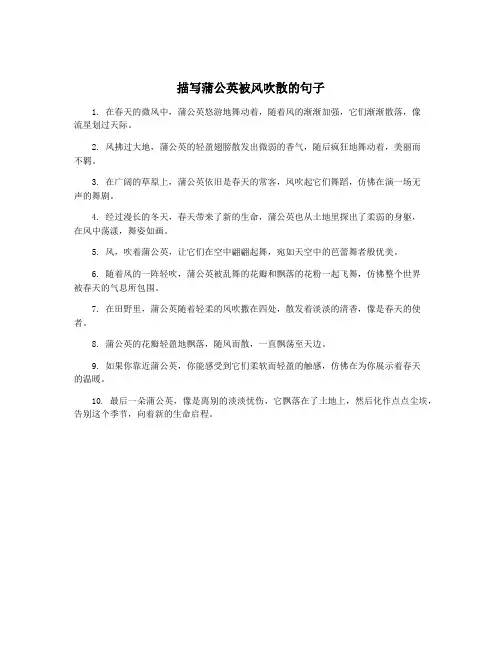 描写蒲公英被风吹散的句子