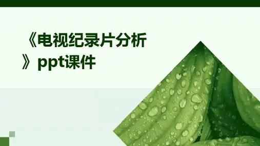 《电视纪录片分析》课件
