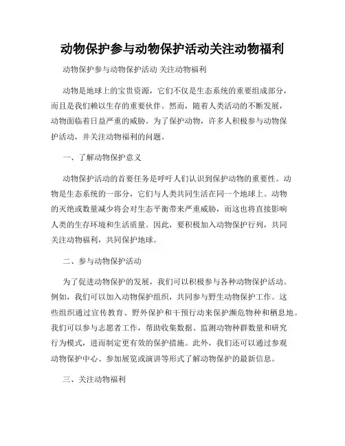 动物保护参与动物保护活动关注动物福利