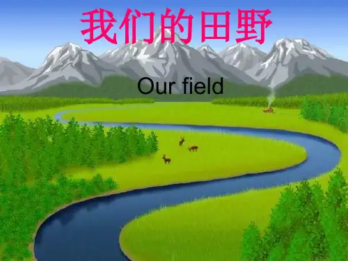 我们的田野-人教版音乐九下精品PPT教学课件