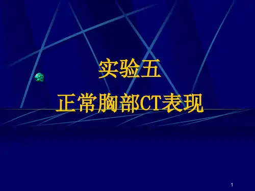 实验5：胸部正常CT表现