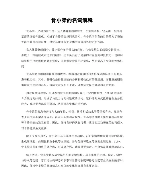 骨小梁的名词解释