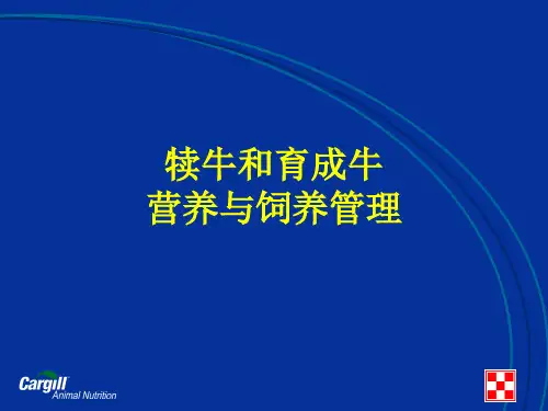 奶牛犊牛和育成牛营养与饲养管理