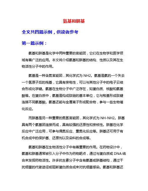 氨基和肼基