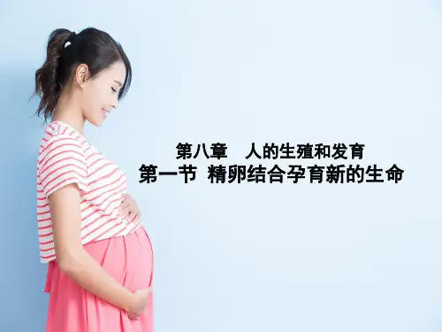 第一节精卵结合孕育新的生命课件2022-2023学年苏教版生物七年级下册