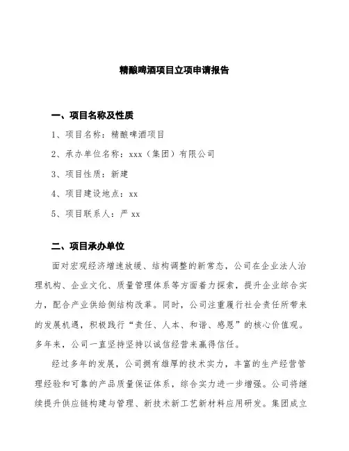 精酿啤酒项目立项申请报告 (3)