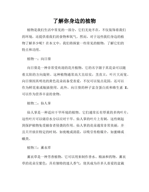 了解你身边的植物