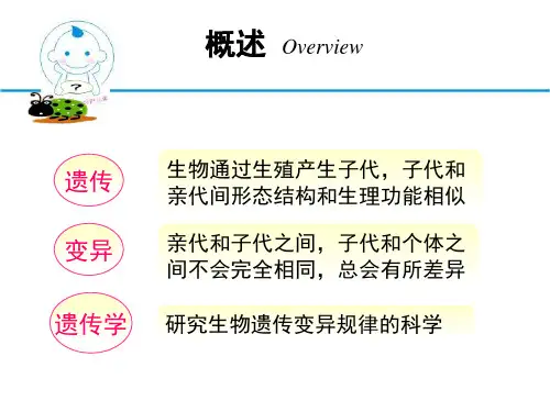 唐氏综合征精品PPT课件