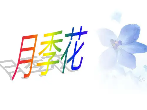 月季花