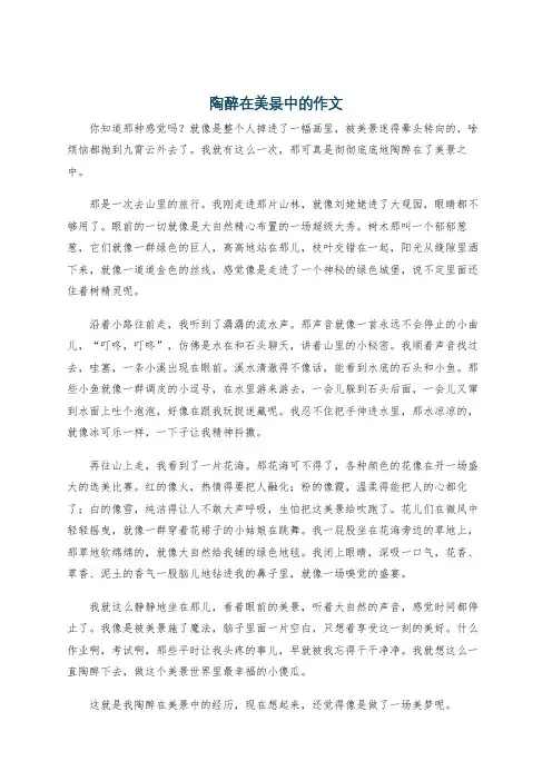 陶醉在美景中的作文