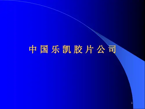 中国乐凯胶片公司战略管理(1)