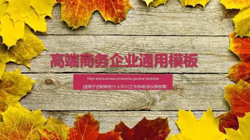 《奔跑吧-兄弟》PPT模板 (1)