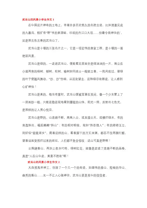 游武当山写景作文四年级