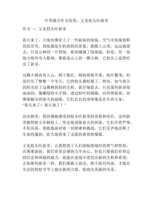 中考满分作文欣赏：又见枝头吐新芽