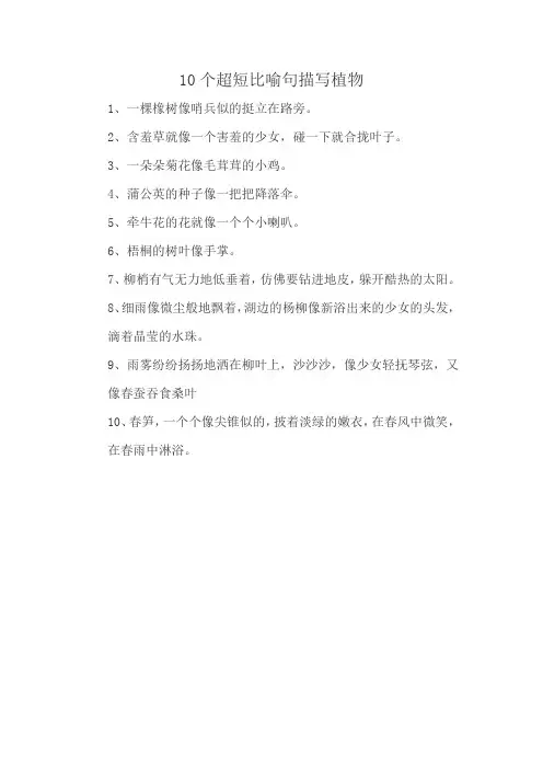 10个超短比喻句描写植物