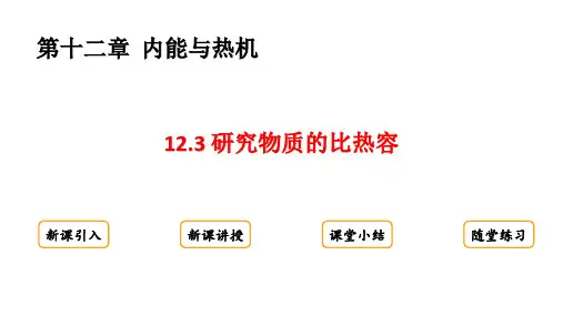 12.3 研究物质的比热容课件(22张ppt)