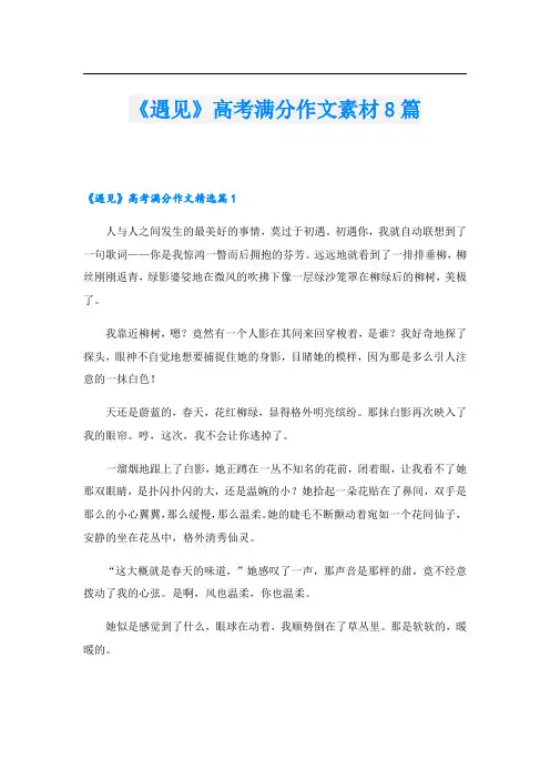《遇见》高考满分作文素材8篇