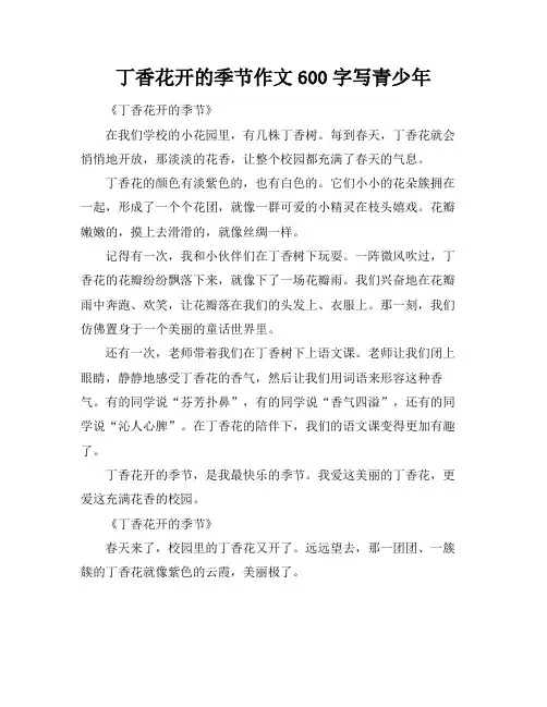 丁香花开的季节作文600字写青少年
