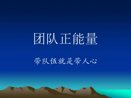 团队正能量带队伍就是带人心(PPT 175页)
