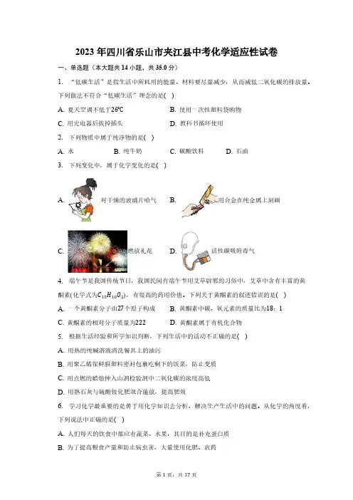 2023年四川省乐山市夹江县中考化学适应性试卷(含解析)