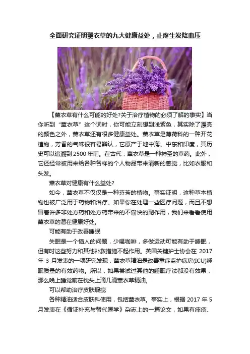 全面研究证明薰衣草的九大健康益处，止疼生发降血压