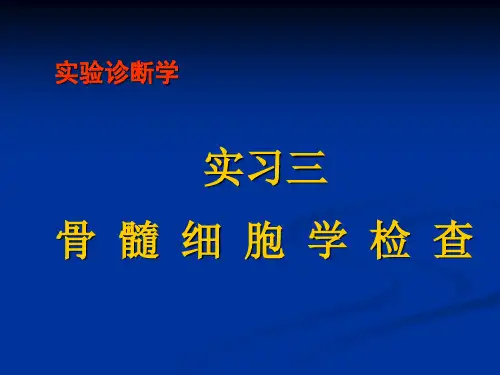 骨髓PPT课件