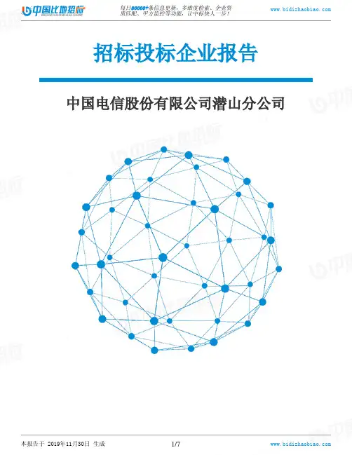 中国电信股份有限公司潜山分公司-招投标数据分析报告