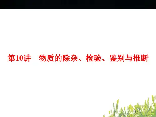 浙江新中考化学第10讲 物质的除杂、检验、鉴别与推断PPT课件(初中科学)