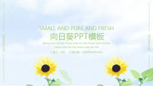 向日葵可爱卡通风教学通用PPT模板