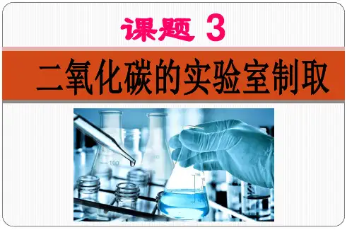 6.3二氧化碳的实验室制取课件---2024-2025学年九年级化学人教版(2024)上册