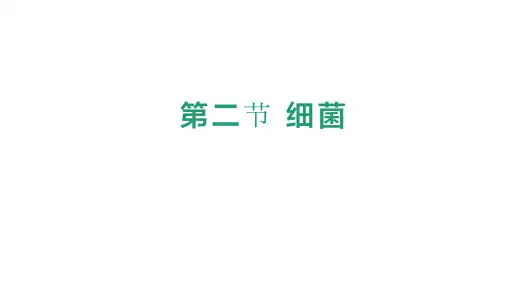 第二节+细菌课件-2024-2025学年人教版生物七年级上册