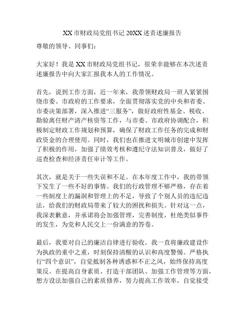 XX市财政局党组书记20XX述责述廉报告
